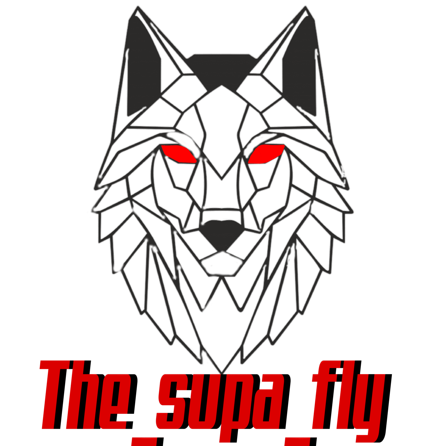 logo fly